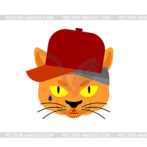Cat Gangsta face. Angry pet muzzle. Animal bully - vector clipart