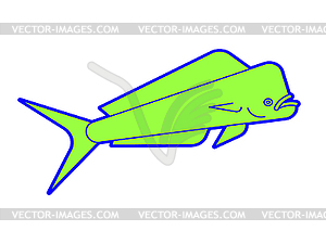 Dorado fish . Mahi Mahi saltwater fish. illustrat - vector clip art