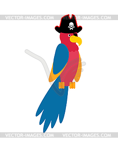 Parrot pirate cartoon. Talking bird for pirate - vector clipart