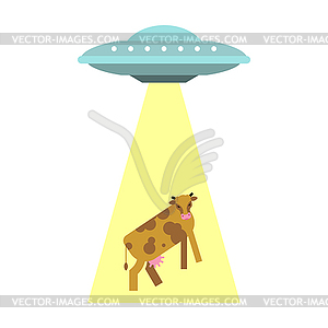 Ufo steals cow . Alien flying saucer and cows. - vector clip art
