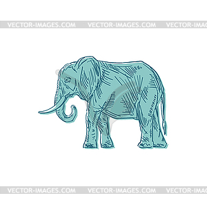 Elephant hand drawing . Animal - vector clipart