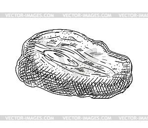 Meat hand drawing sketch. Piece of pork or beef. - vector image