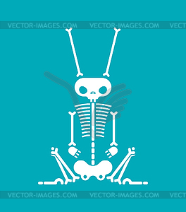 Skeleton Rabbit cartoon . Skull hare - vector image