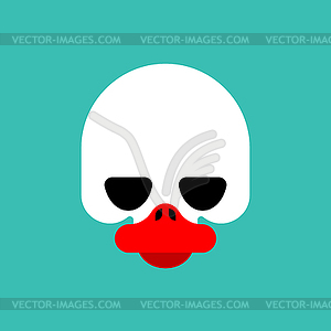 Duck skull . Duck braincase - vector image