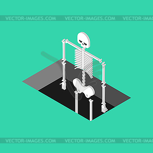 Skeleton coming out of grave - vector image