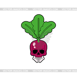 Scull Radish . skeleton head vegetable garden - vector clip art