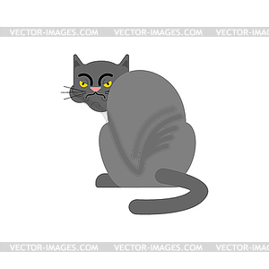 Resentful cat. Pet is offended. bad home animal - vector clipart