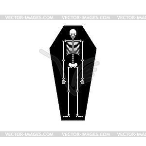 Skeleton in coffin. Dead Man in tomb - vector clipart / vector image