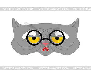 Old cat . Grandpa cat.  - vector clipart