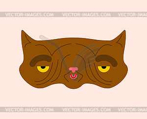 Old cat . Grandpa cat.  - vector clipart