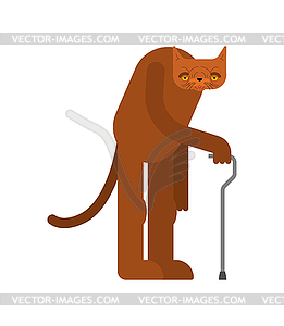 Old cat . Grandpa cat.  - vector clipart