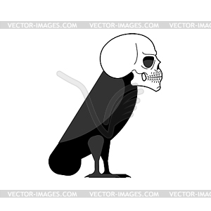 Black raven and skull. Black crow symbol of death - vector image