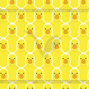 Duckling Pattern seamless . little duck - vector clipart