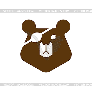 Bear with an eye patch. One-eyed predator. - vector image