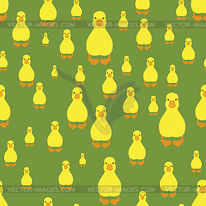 Duckling Pattern seamless . little duck - vector clipart