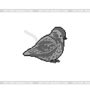 Пиксельная графика воробья. 8-битная маленькая птичка.  - векторное изображение EPS