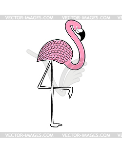 Pink flamingo . water bird with pale pink plumage - vector clipart