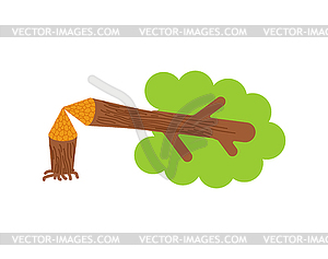 Tree gnawed by beaver. forest log - vector image