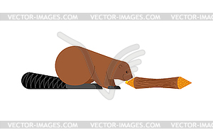 Beaver and tree. Swamp rodent and dam - vector clip art