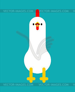 White Chicken . Chicken White Hen - vector clipart