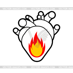 Fire in heart. Flame in an anatomical heart. Concep - vector clip art