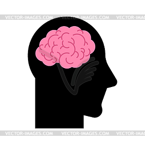 Brain icon in head. Sign of thinking person. smart - vector clipart