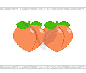 Two peaches are like sexual symbols - vector clip art