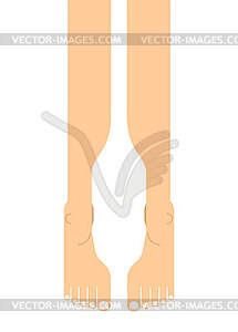 Human legs top view. legs - vector clipart