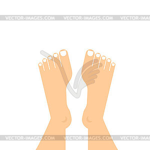 Human legs top view. legs - vector clip art