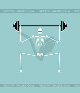 Skeleton and barbell. Gym symbol. Hardcore weight - vector clipart