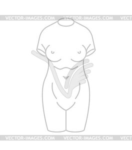 Statue of female torso. Sculpture of antiquity - vector clipart