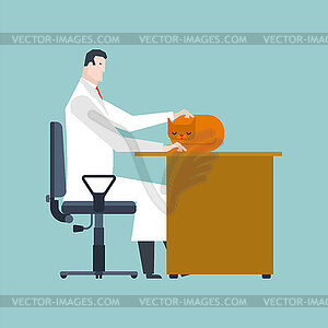 Cat on table near doctor. Doc and cat. - vector clipart