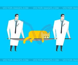 Cat on stretcher. Doc and cat. Veterinarian with pet - vector clip art