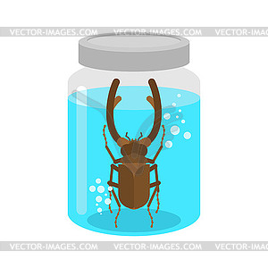 Bug inside glass jar. Alchemical experiment. Ancien - vector clip art