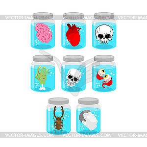 Alchemical jars set. Witches` potions. Pickled - vector image