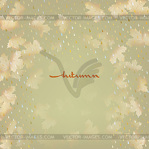 Autumnal maple leaf. EPS 10 - vector image