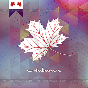 Autumnal maple leaf. EPS 10 - vector image