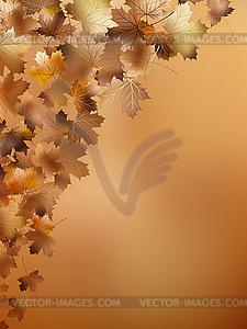 Autumn background with leaves. EPS 10 - vector clipart