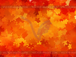 Autumnal leaf of maple and sunlight. EPS 10 - vector clip art