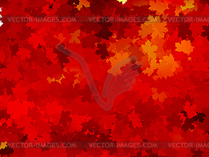 Autumnal leaf of maple and sunlight. EPS 10 - royalty-free vector clipart