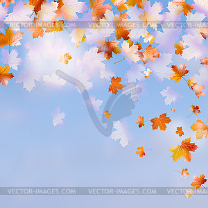 Autumn leaves with blue sky. EPS 10 - vector clip art