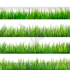 Grass . EPS 10 - vector image