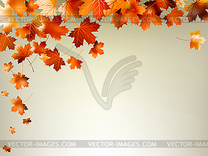 Colorful autumn leaves falling. EPS 10 - vector clipart