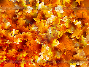 Colorful background of autumn leaves. EPS 10 - vector clipart / vector image