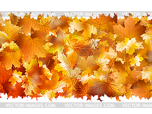 Card on autumn leaves texture. EPS 10 - vector clip art
