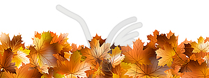 Pattern of autumn leaves. EPS 10 - vector image