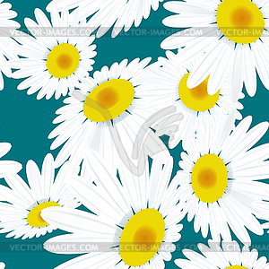 Seamless texture Chamomile flowers. EPS 10 - vector image