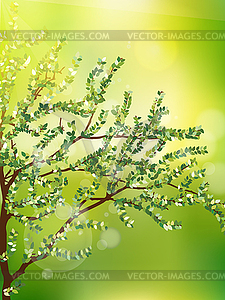 Abstract natural backgrounds. EPS 10 - vector clipart / vector image