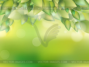 Fresh green leaves. EPS 10 - vector image