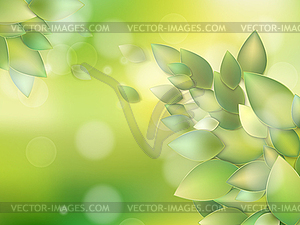 Summer branch with fresh green leaves. EPS 10 - vector clipart